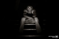 DSC_1447-Edit